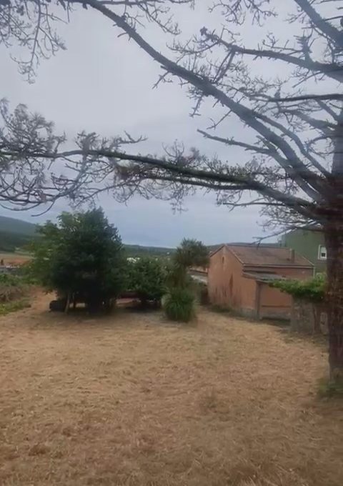 WhatsApp Video 2026-08-25 at 10.48.23 AM.mp4_snapshot_00.18.103