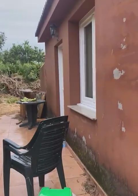 WhatsApp Video 2026-08-25 at 10.48.23 AM.mp4_snapshot_01.27.496