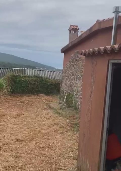 WhatsApp Video 2026-08-25 at 10.48.23 AM.mp4_snapshot_01.39.149