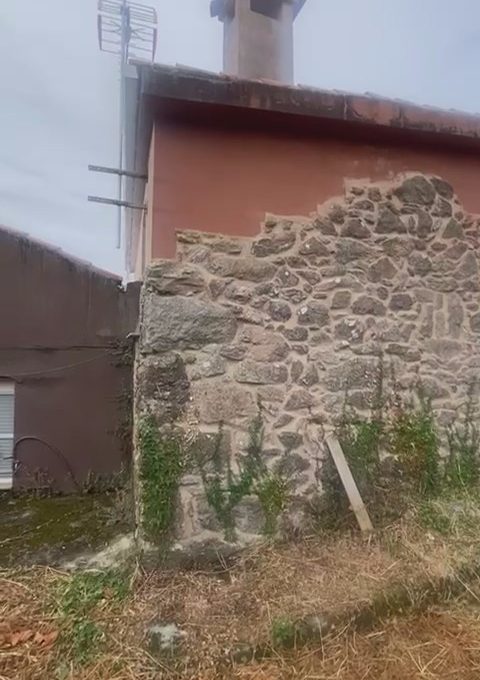 WhatsApp Video 2026-08-25 at 10.48.23 AM.mp4_snapshot_01.56.774